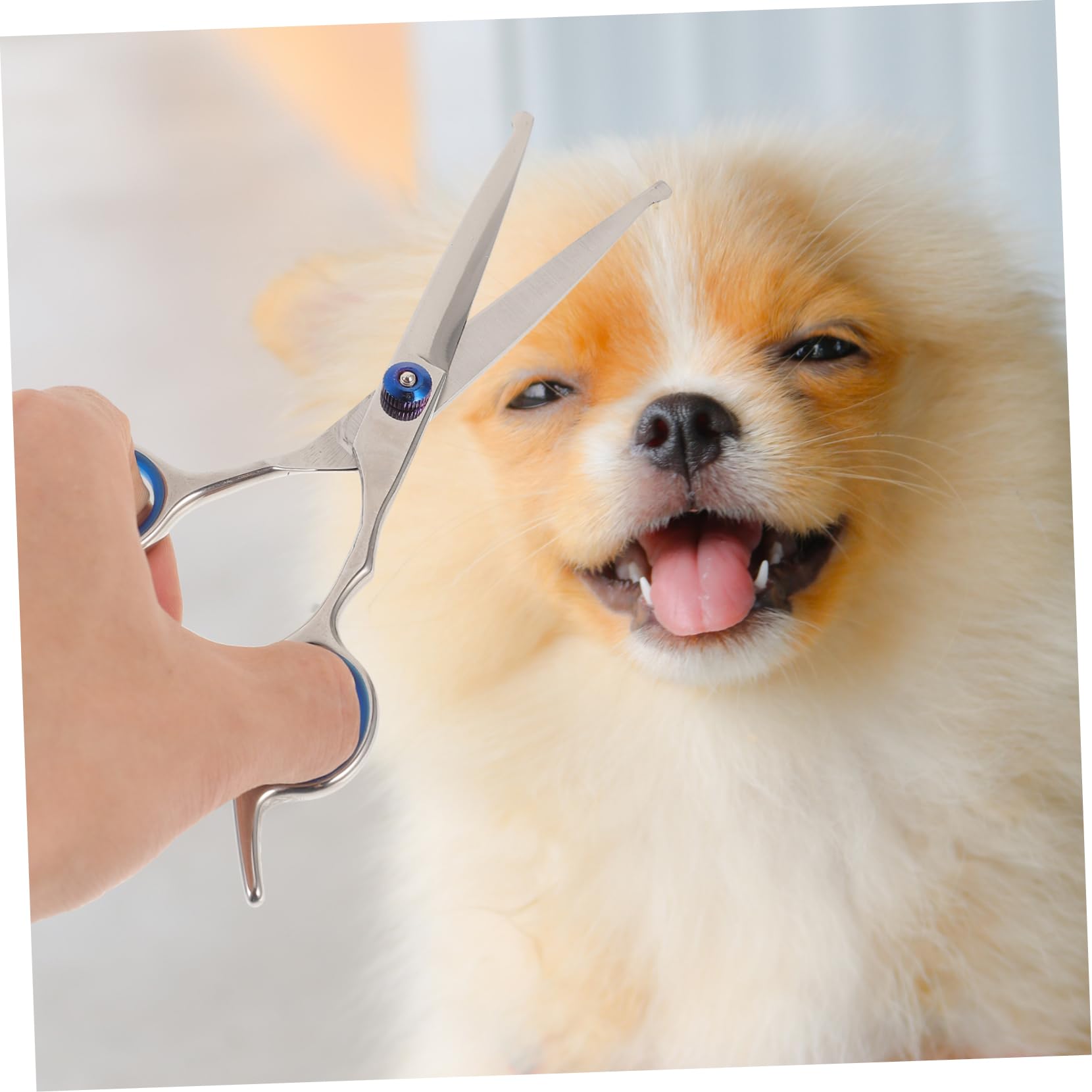 PLAFOPE 2PCS Pet Hair Scissors Rust Round Head Shears Ergonomic Grip for Home Pet Grooming Trimmer for Dogs and Cats Blue Screws Series