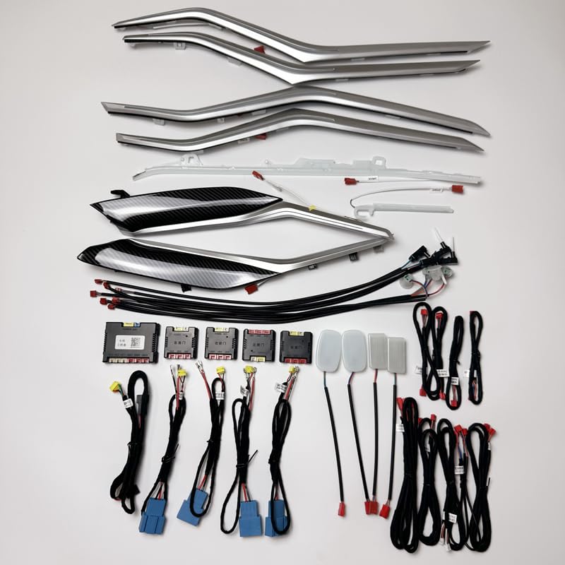 Automotive LED ambient Light, 11 Color Interior Atmosphere kit, Door Light Guide Strip, Screen Control Interface, for BMW G20