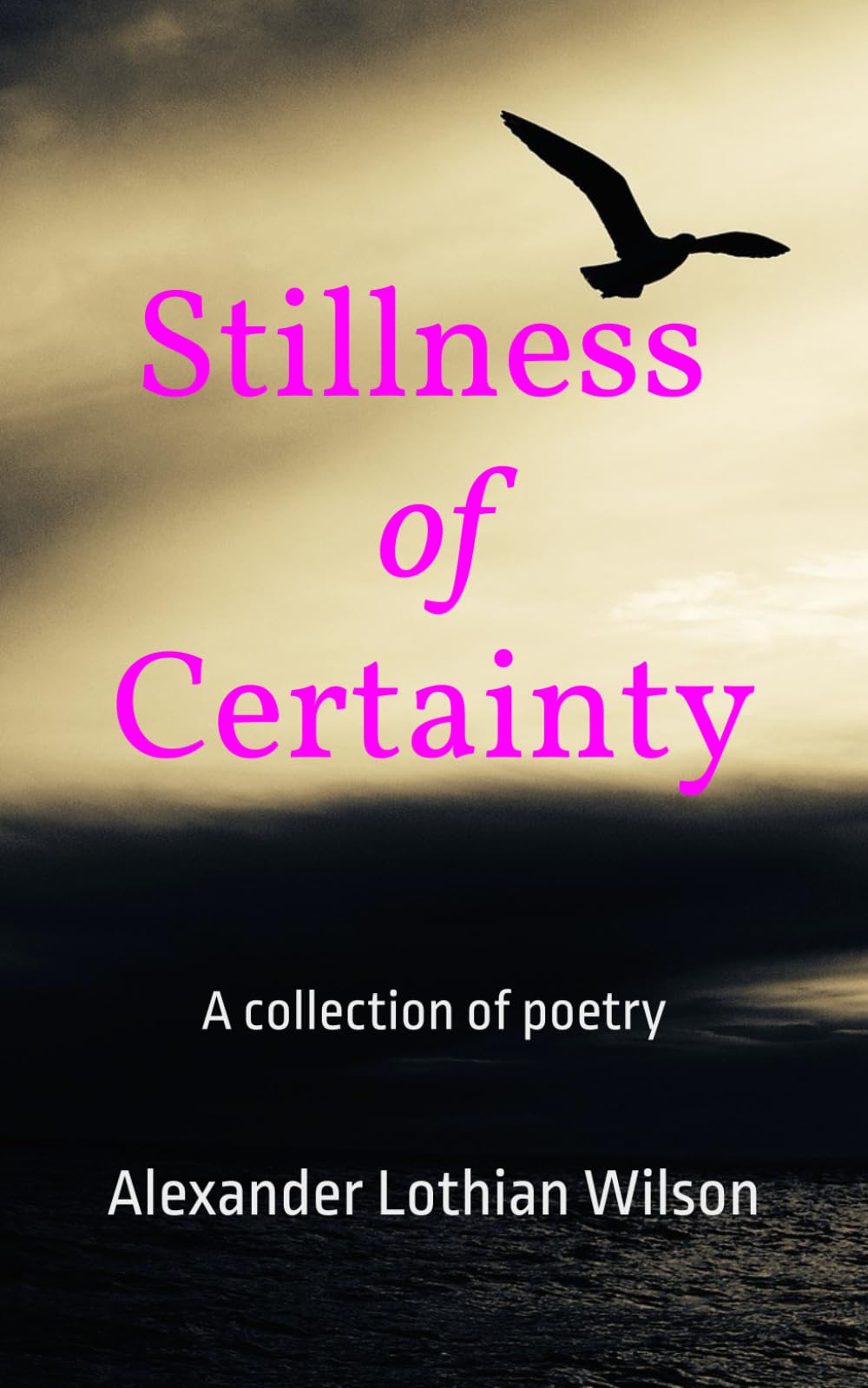 Stillness of Certainty: A collection of poetry