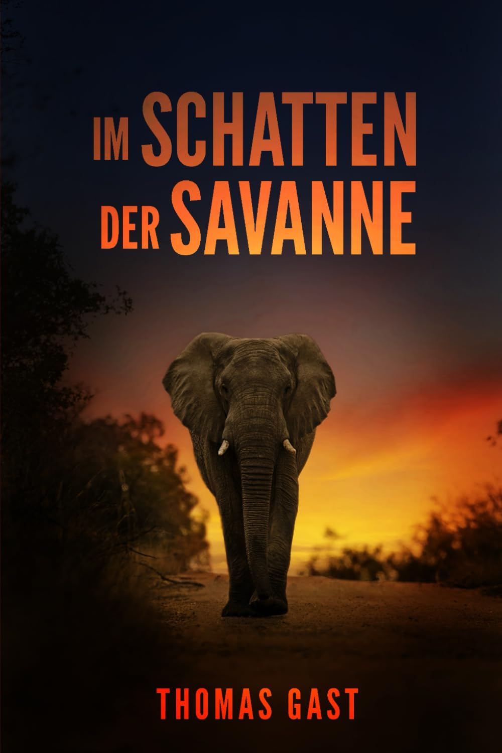 IM SCHATTEN DER SAVANNE