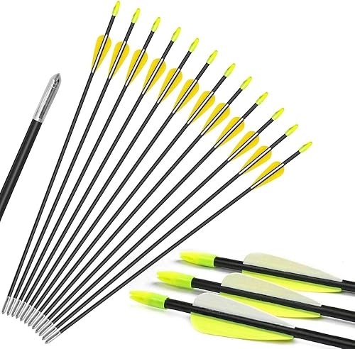 E-ROCK 12 flechas de entrenamiento de 28.0in, flechas de tiro con arco, con punta roma de eje duradero para niños jóvenes o principiantes en arco