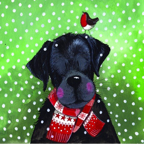 Alex Clark Charity Christmas Cards - Confezione di...