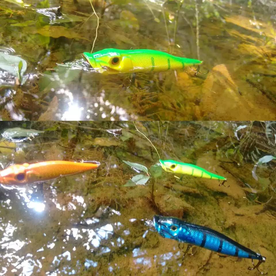 Miniatura 6 de FANGBLUE Señuelos de pesca Popper cebo de pesca Topwater cebos duros ojos 3D Swimbait Crankbait con gancho de agudos para lubina, trucha, agua dulce