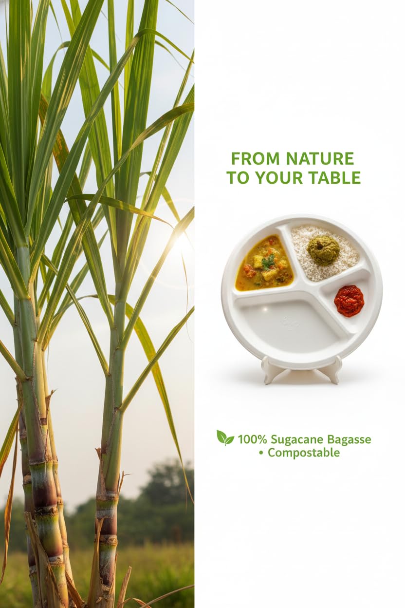 Eco-Friendly Biodegradable Bagasse 3-Compartment Disposable Plates | Pack of 50 11 inch Heavy-Duty Round Partitioned Plates for Parties, Picnics & Catering | Sugarcane Fiber Thali | Microwave Safe 3