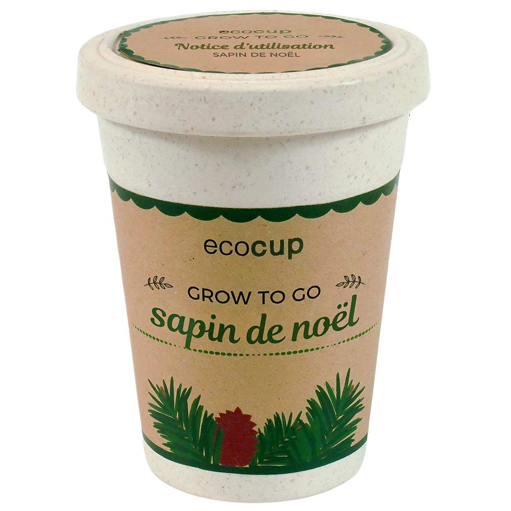 Feel Green Ecocup, Épicéa (Sapin de Noël), Idée Cadeau (100% Ecologique), Grow-Your-Own/Kit Prêt-à-Pousser, Plantes Dans Coffee Cup 10 x 8 cm, Produit En Autriche