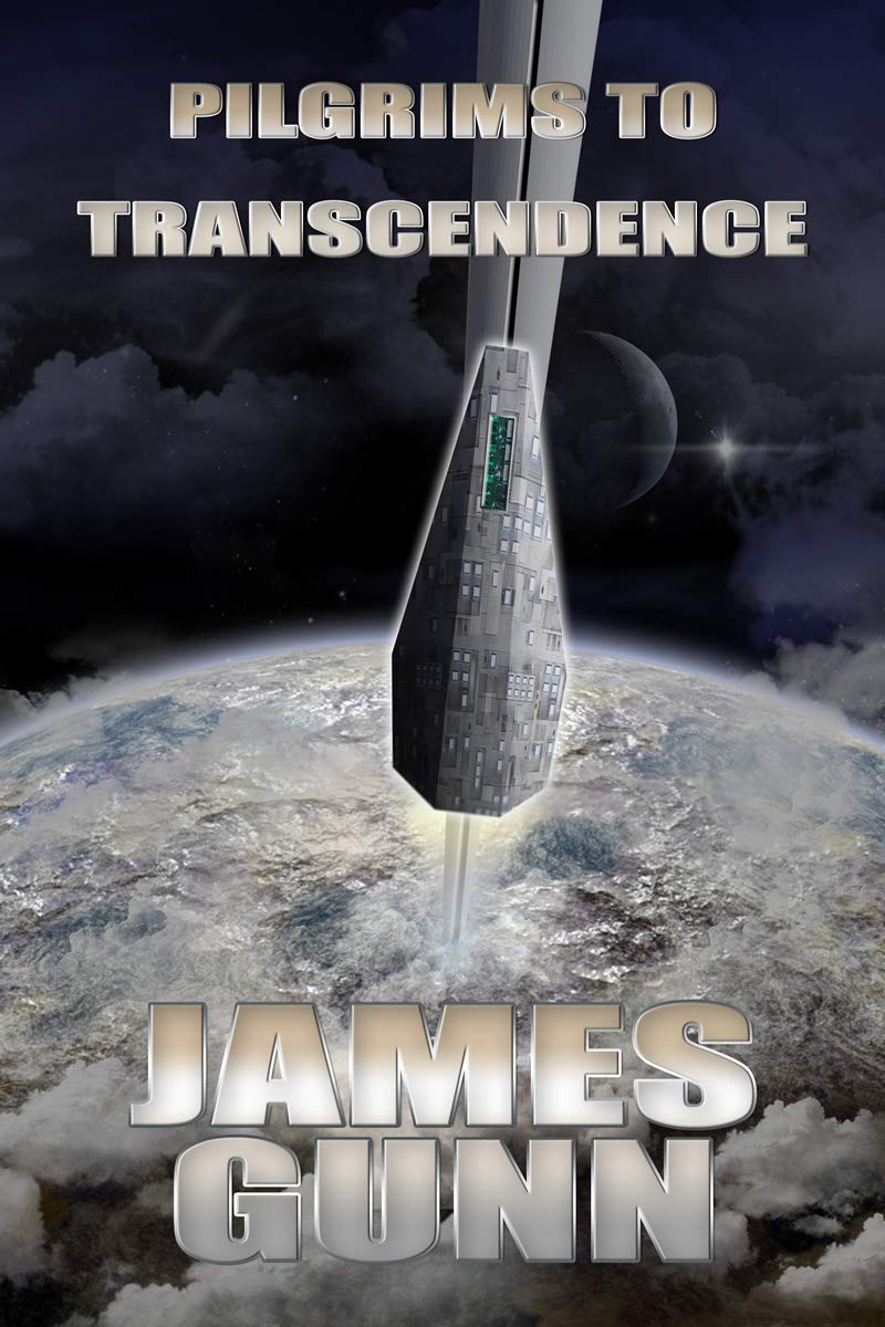 Cover of Pilgrims to Transcendence