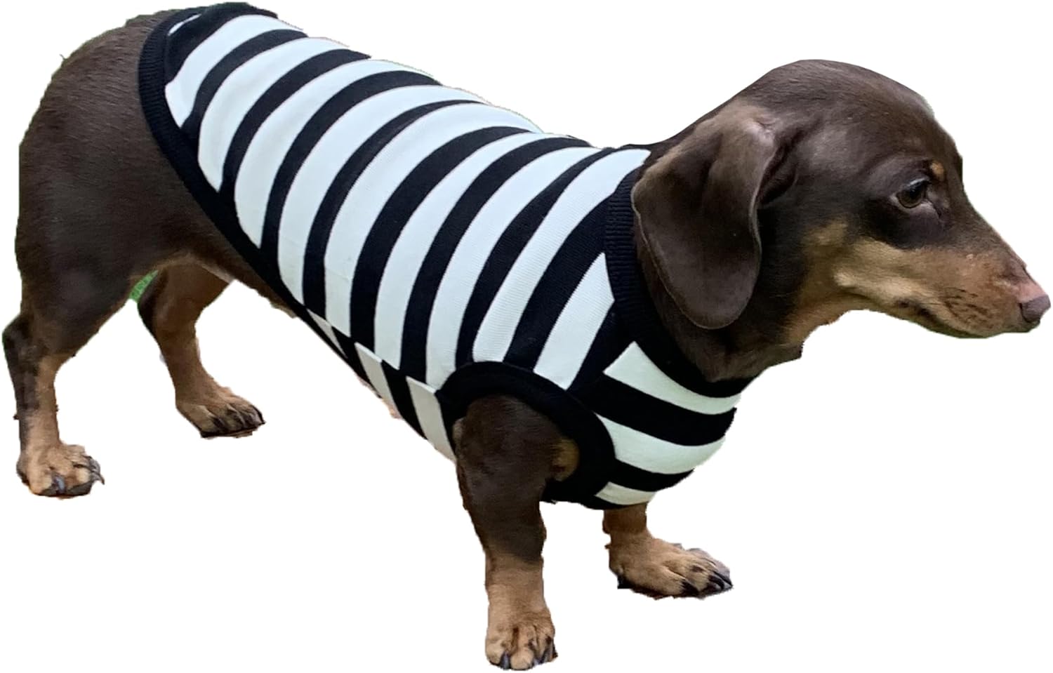 D Doggy Star Dachshund Sweater for Dogs Warm Fleece Clothes Winter Coat (S,Mustard Pocket)