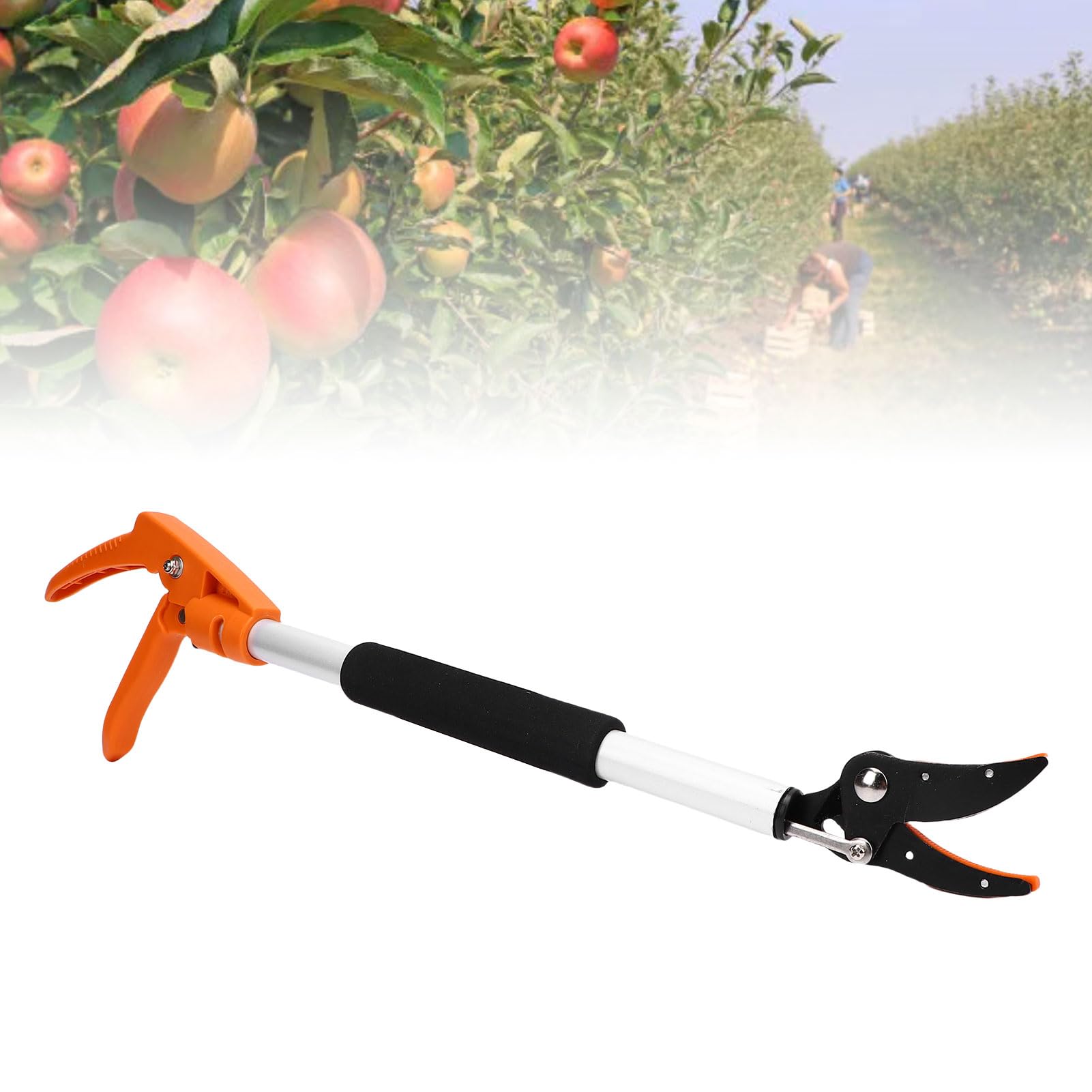 EMUKOEP Tijeras Afiladas para Recoger Frutas, Podadora Fácil de Usar para Pepino, Uva, Melocotón, 2 Pies