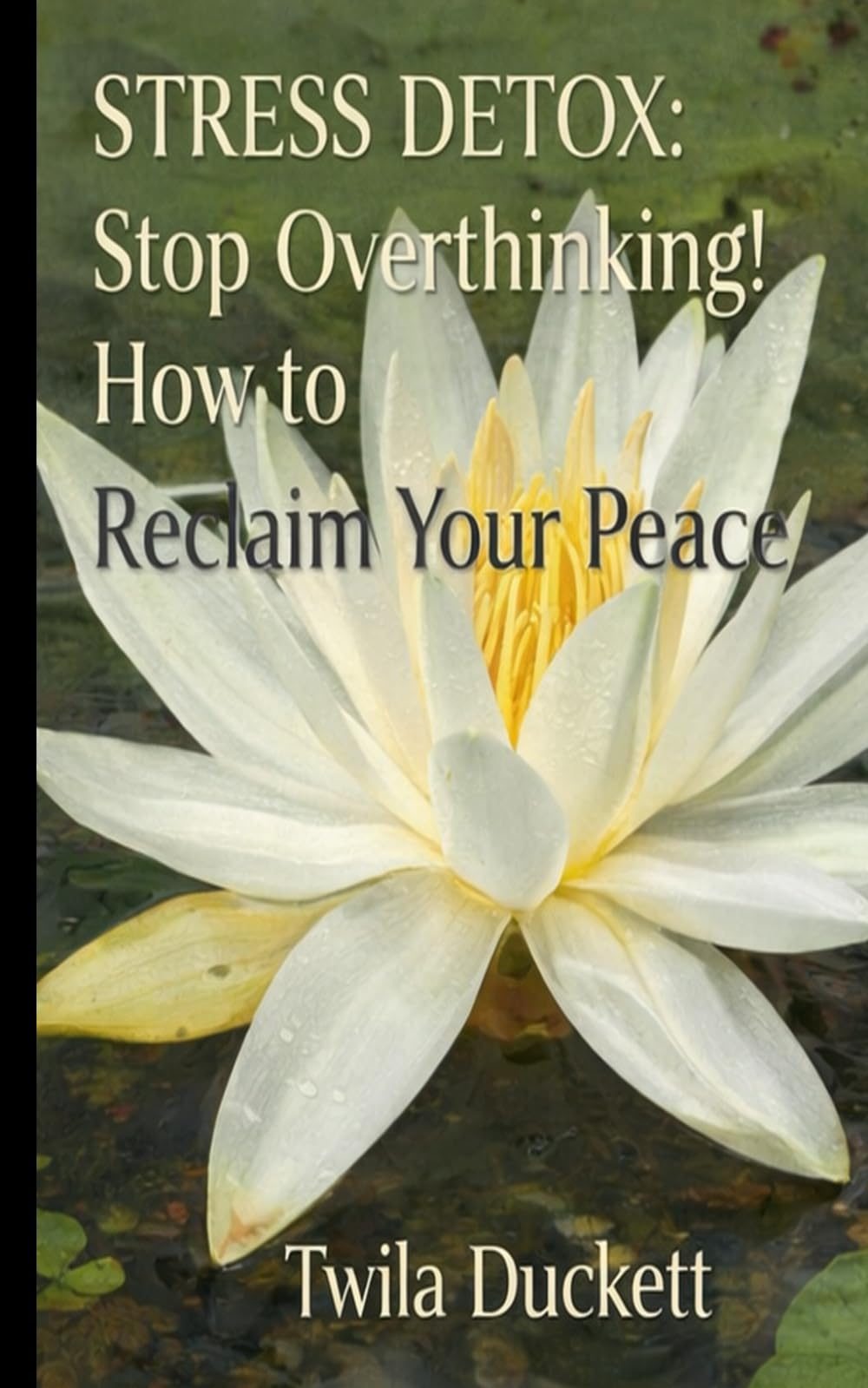 STRESS DETOX: Stop Overthinking! How to Reclaim Your Peace