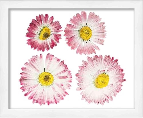 Miniatura 6 de Poster Palooza Marco de exhibición de caja de sombra blanca de 7 x 4 pulgadas de profundidad con plexiglás acrílico resistente a roturas, respaldo