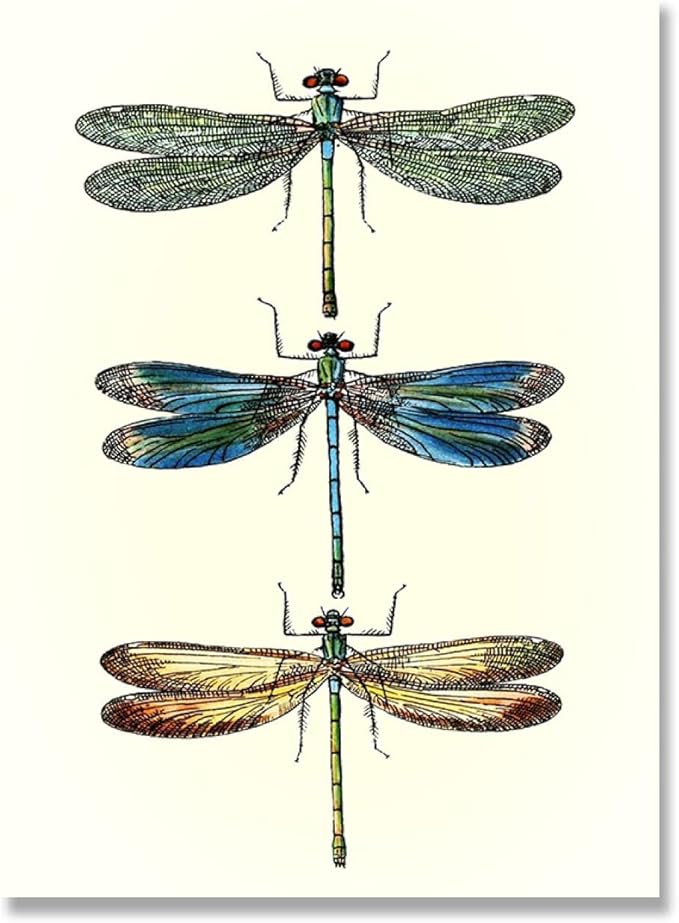 Amazon キャンバス上の画像トンボのイラストレトロなプリント壁アート絵画ポスターリビングルームキッチン家の装飾15 7 X23 6 40x60cm フレームレス ウォールステッカー オンライン通販 Amazon キャンバス上の画像トンボのイラストレトロなプリント壁アート絵画ポスターリビングルームキッチン家の装飾15 7 X23 6 40x60cm フレームレス ウォールステッカー オンライン通販