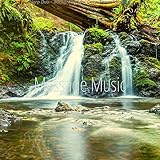  Divine Harp and Piano Music - Vibe for Aroma Massage