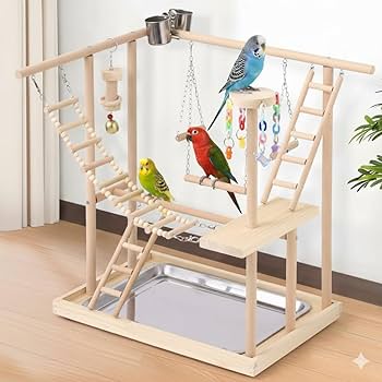 Amazon | iimono117 インコ 遊び場 大型 [ 幅47㎝×高さ54㎝ ] 鳥