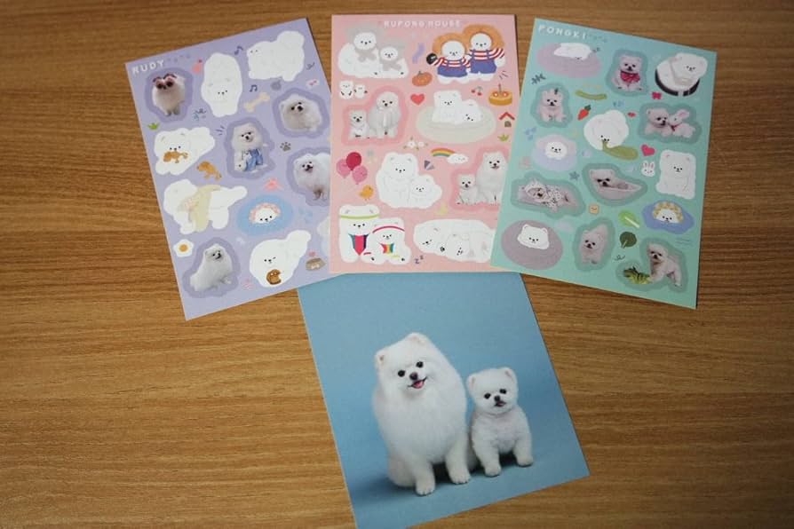 入荷1点のみ✨スペイン作家のキュートデッキ✨キャンディランドルノルマンカード 楽天市場】【缶ケース入り／ルノルマン】ピクシーズ・アスタウン