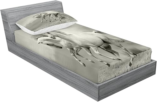 Miniatura 248 de Ambesonne Juego de sábanas bajeras y fundas de almohada con diseño de gato durmiendo en luna creciente, estrellas, sueños nocturnos, juego de ropa