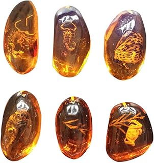 Amber with Samples Stones Oval Pendants Crystal Samples for Home Decorations Science Educational (Random Pattern)