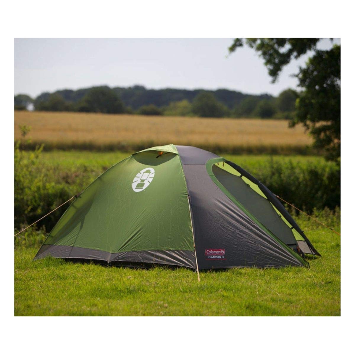 Amazon | Coleman Darwin 3 Tente | Coleman(コールマン