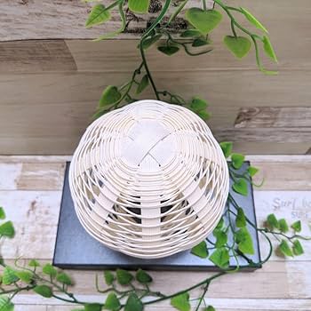 Amazon.co.jp: 帽子スタンド ヘッドトルソーベビーサイズ白色