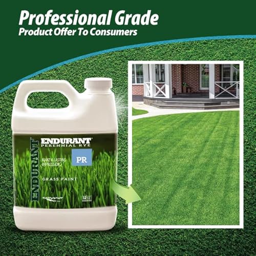 Endurant Green Grass Paint For Lawn And Fairway Treats Dry Or Patchy Lawn – Pet Friendly Eco-Friendly Lawn Spray Paint And Turf Grass Dye (32 Oz, Perennial Rye) #TOP4