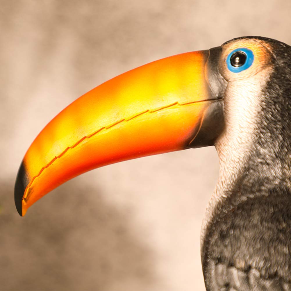 Feng Shui per, Statua di Tucano, Simulazione di Modello Animale di Uccello Piccolo Uccello Resina Pittura Giardino Casa Display Collezione E Decorazione