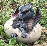 Ebros Large Nightfury Baby Dragon Hatchling in Egg Statue 10' Long Legends and Fantasy Home and...