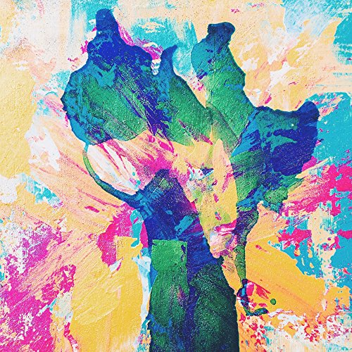 Himalayan Disco Force