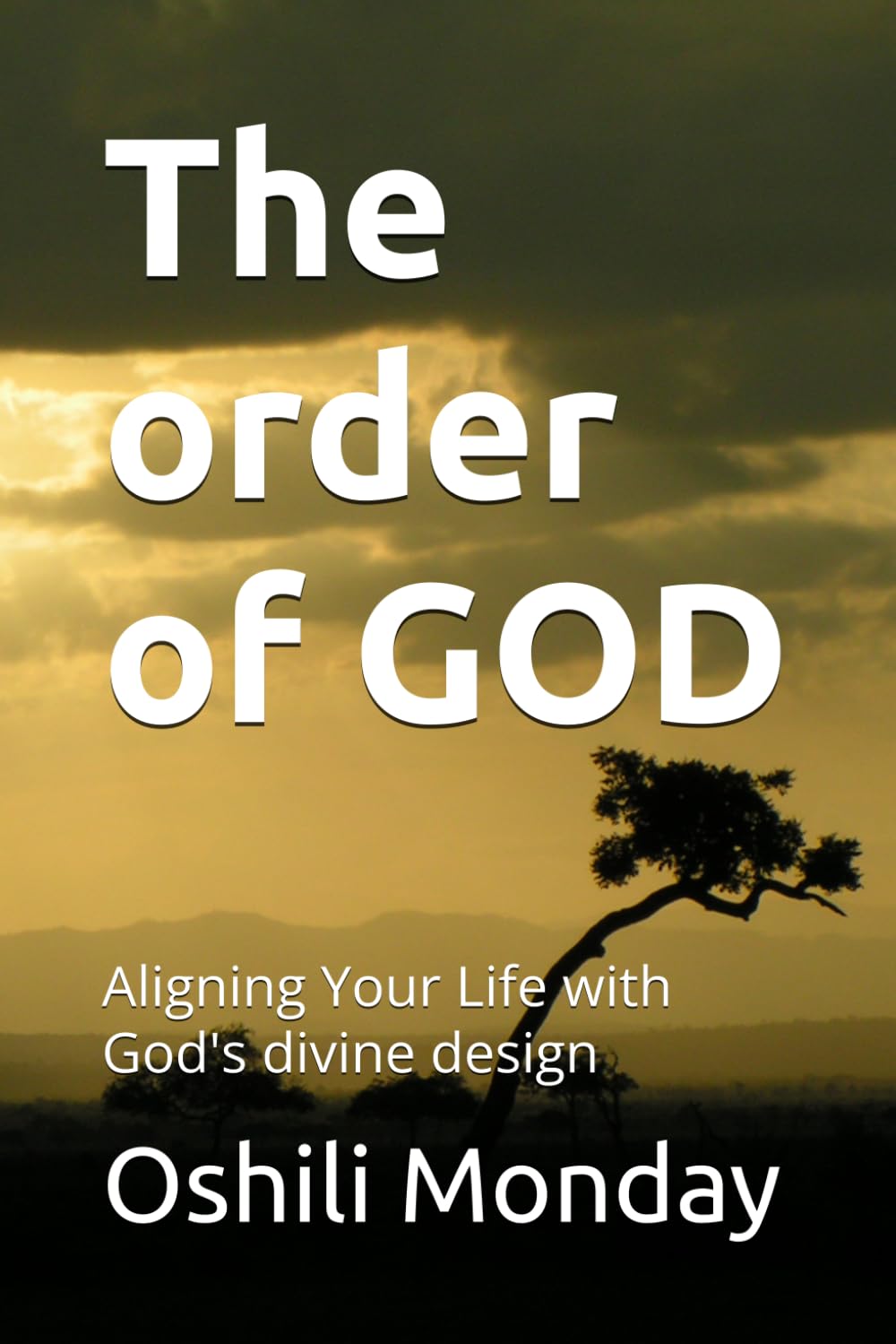 The order of GOD: Aligning Your Life with God's divine design