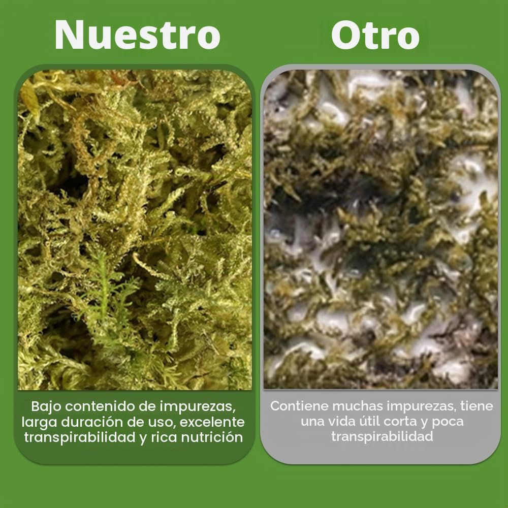 Musgo Sphagnum, 2 x 500 g Musgo para Orquideas, Musgos de Bosque Seco, Sphagnum Musgos Natural Seco para Terrarios Orquideas Soporte Plantas Bonsai Reptiles Decoración