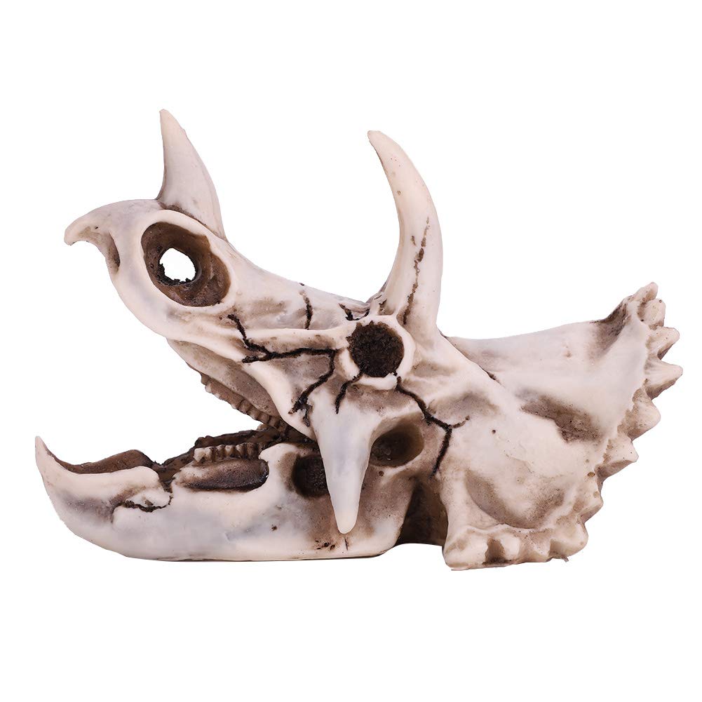 Qcwwy Dinosaurier-Schädel-Statue, Lebensechte Tierskulptur, Figur, Lehr-Skelett-Modell, Feine Verarbeitung, Desktop-Höhlendekoration, Ornament für Zuhause, Bücherregal, 17 X 10 cm