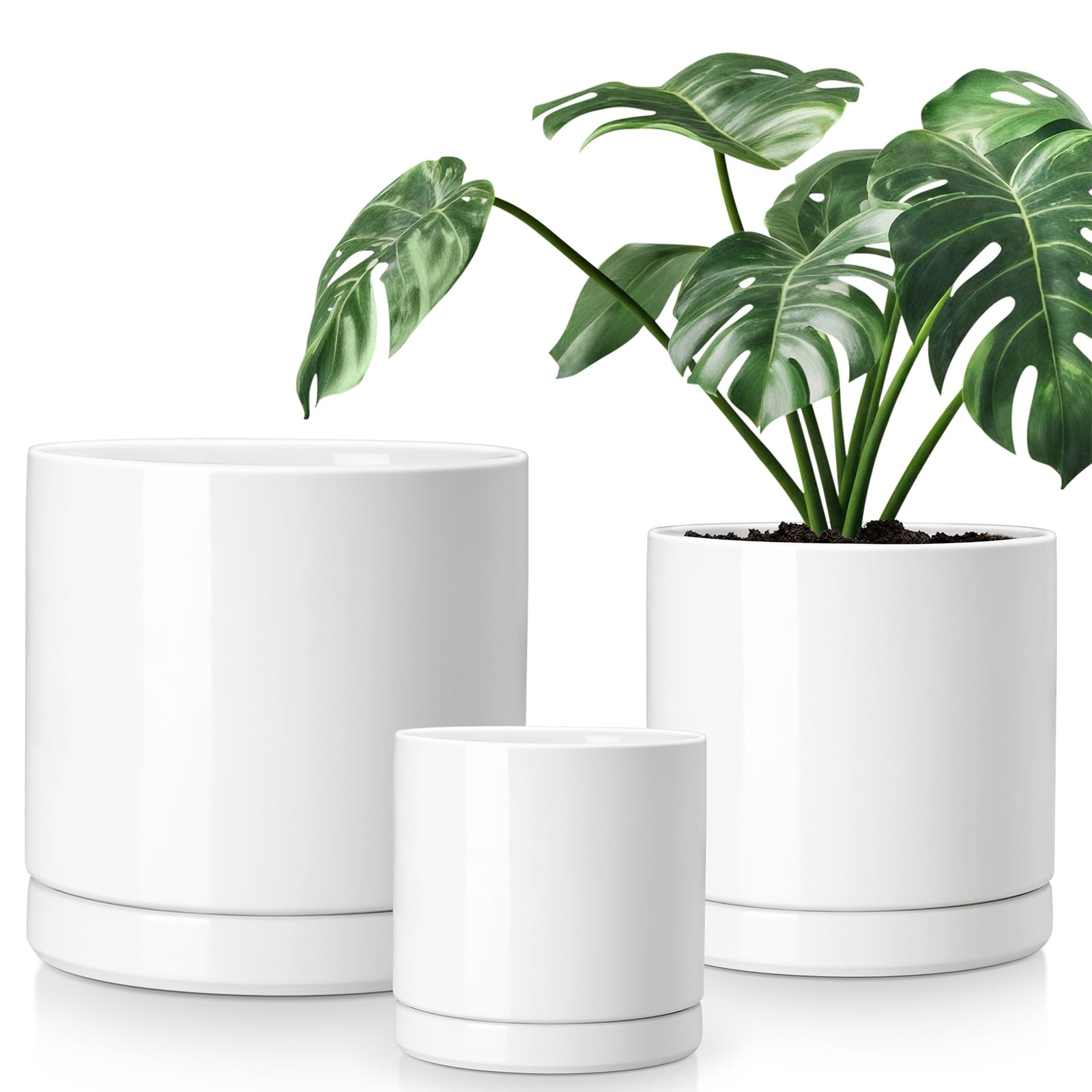vancasso Set of 3 Ceramic Planters