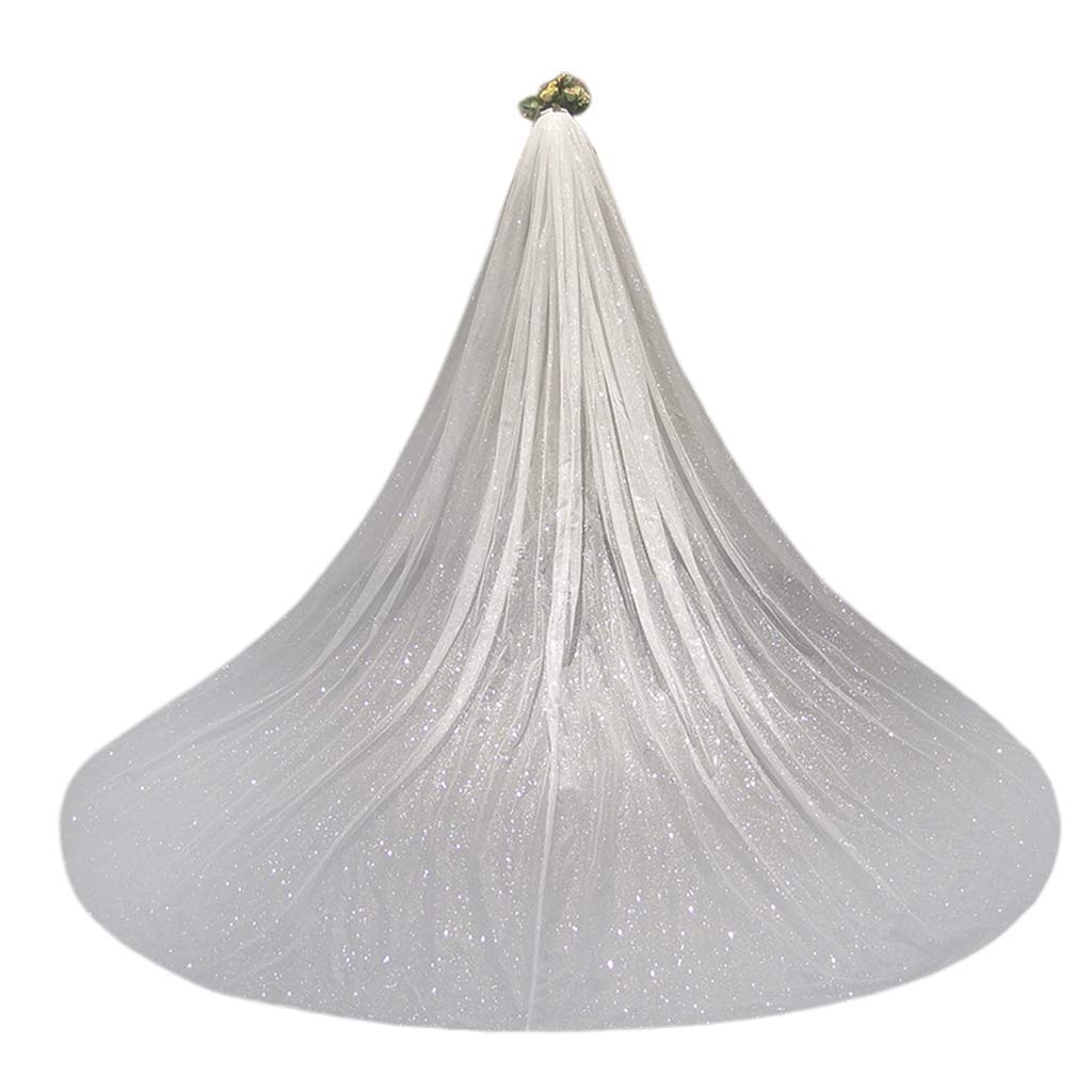 Velocipede da Sposa Mesh Cattedrale Ultra-Lungo con Stampa a Caldo, Romantico di Lusso Shimmer Cielo Stellato Paillette Accessori