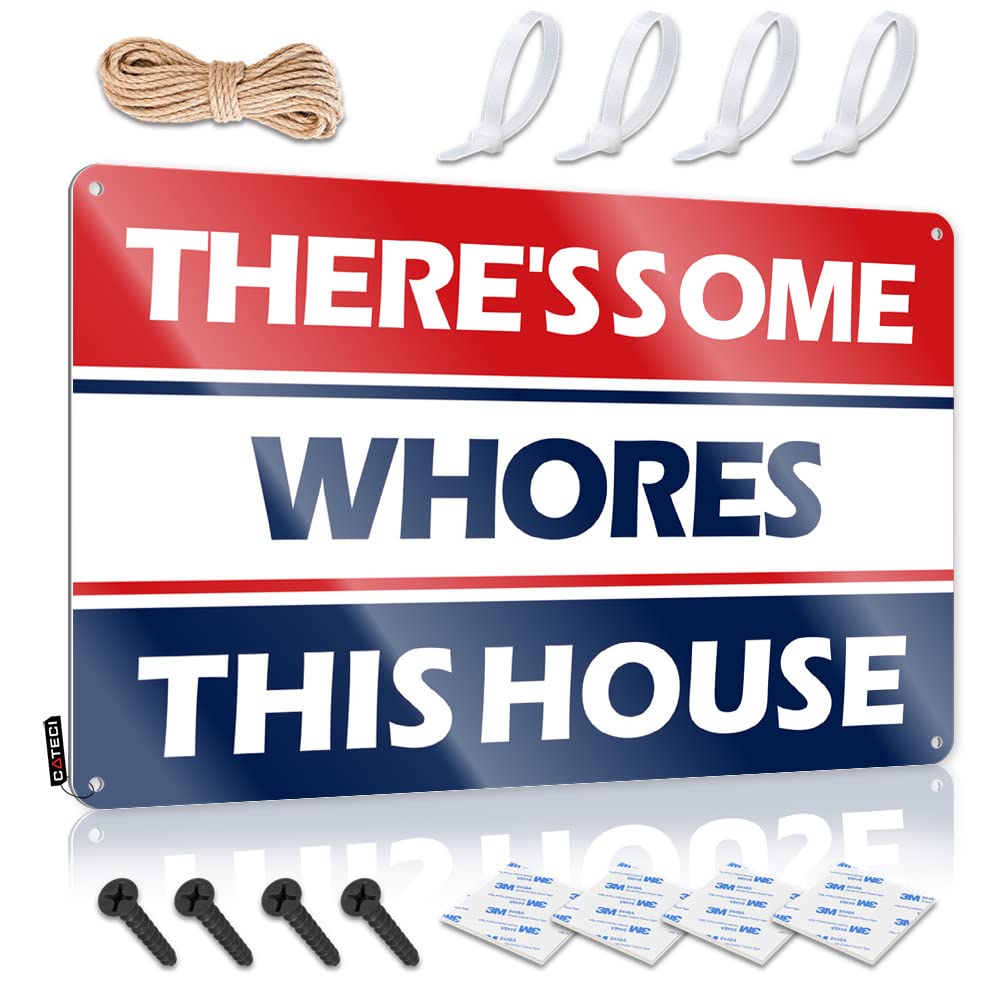 IBWNBBUSN Funny Desk Signs There'S Some Whores In This House Tin Sign Metal Signs For Home Bar Bbq Signs Outdoor(30X40CM)