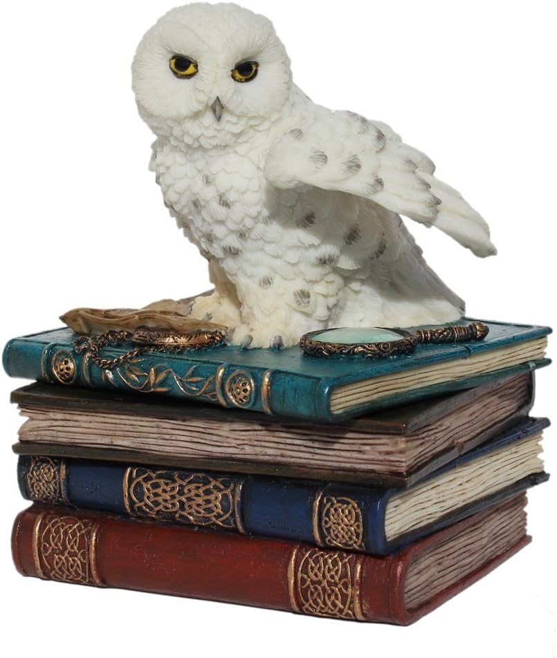 US 4.75 Inch Snow Owl Flap Wings on Books Trinket Box, White Color