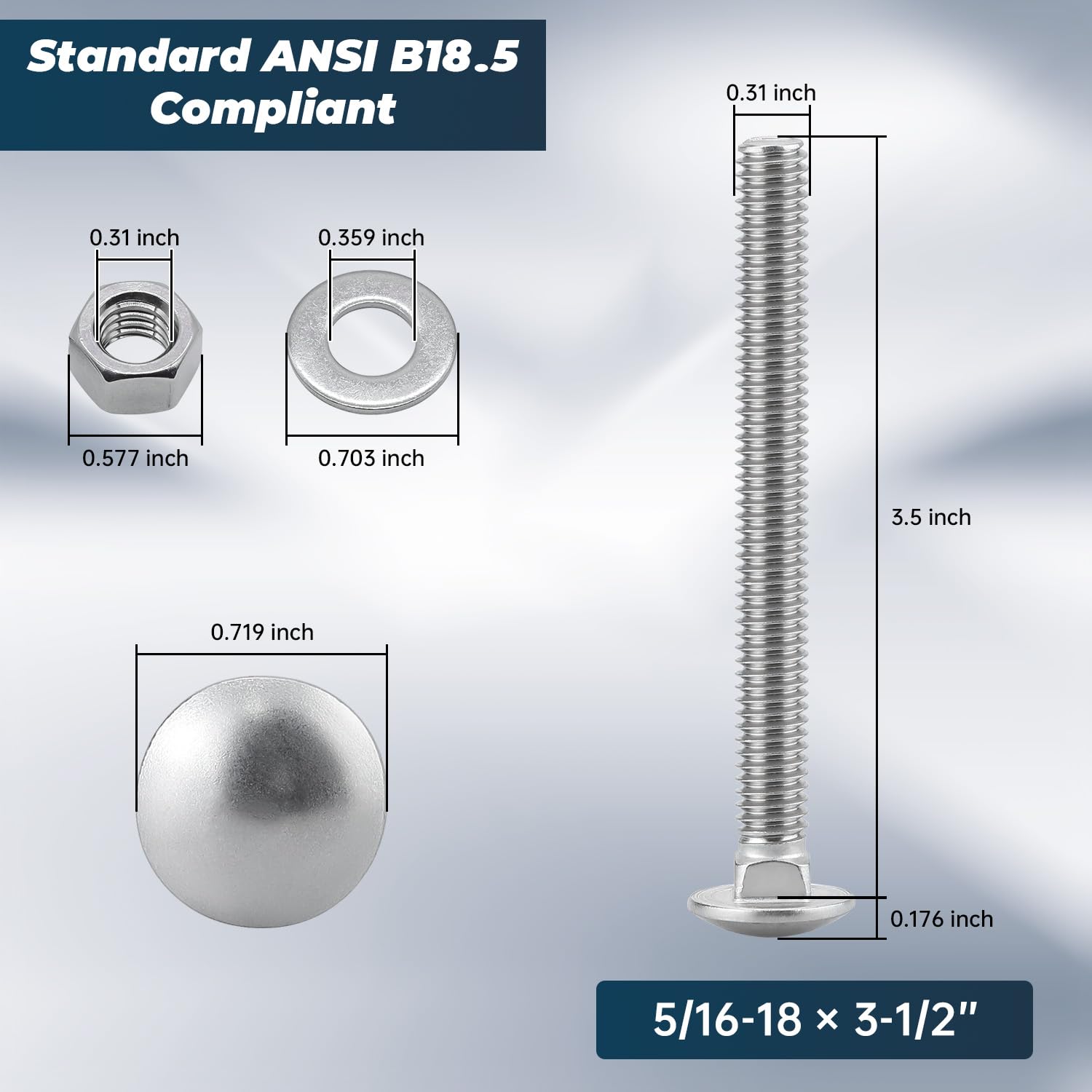 Stainless Steel Carriage Bolts - Nuts & Washers -5 Stainless Steel Carriage Bolts - Nuts & Washers -5