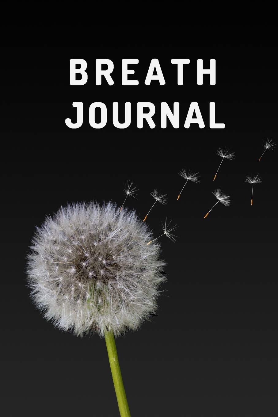 Breath Journal: Notebook to Log Breath Sessions Gift for Breathwork Practitioners