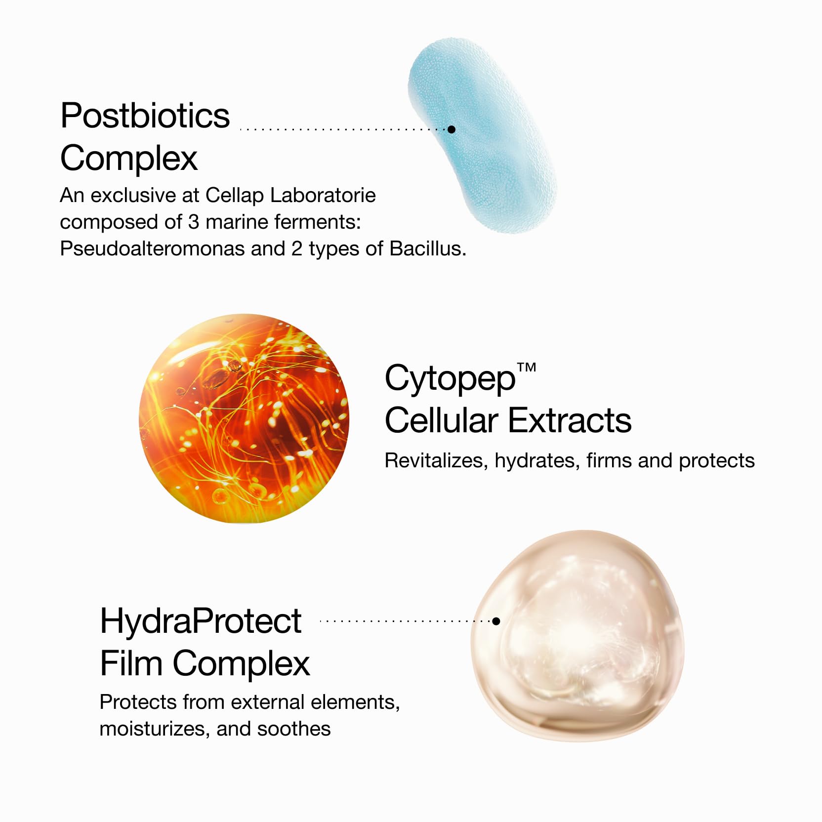 Concentrated Hydrating Smoothing Cellular Cream