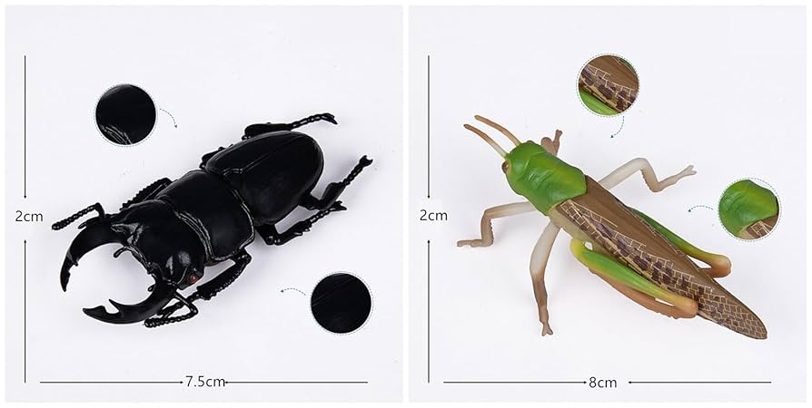 Amazon | Eden Toys 昆虫 動物 フィギュア 模型 リアル 誕生日