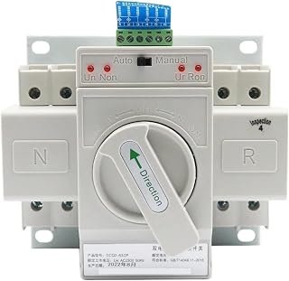Dual Power Automatic Transfer Switch 2P 63A switchgear Switch CB Class ATS Home Single Phase 110V 220V(110V)
