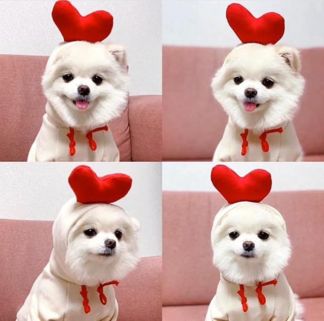 Foto 7 de 7 de XIAOYU sudadera con capucha para cachorros de perro sudaderas con capucha para gatos ropa para mascotas…