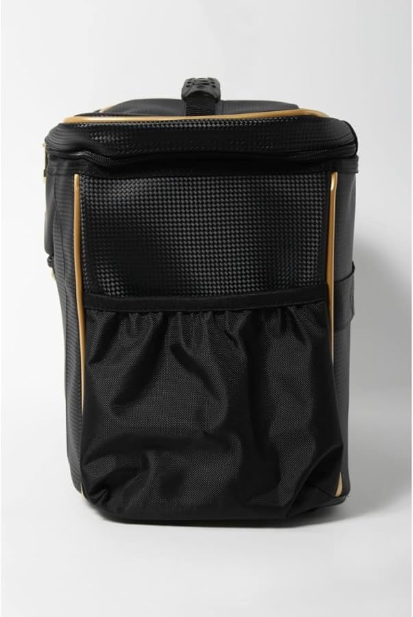 ミズノプロ　グラブケース２個入れ　グローブケース 1FJC250209 楽天市場】ミズノプロ グラブケース 2個入れ mizuno 【野球