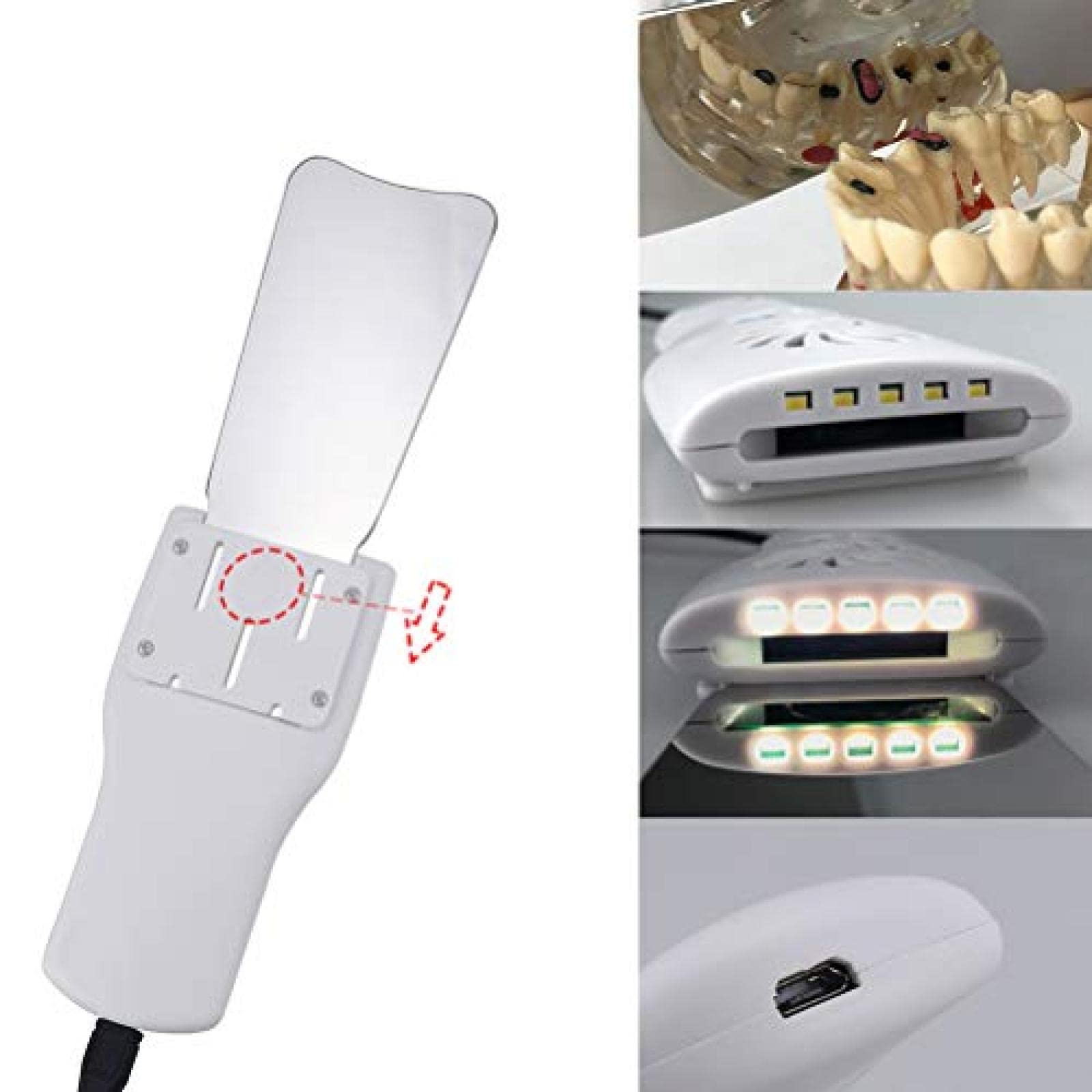 Specchi intraorali dentali, Imaging ortodontico Dentale Specchio Fotografico a LED Riflettore per obervazione di cavità in Acciaio Inossidabile ad Alta durezza Ortodontico Orale 56Sensaziona