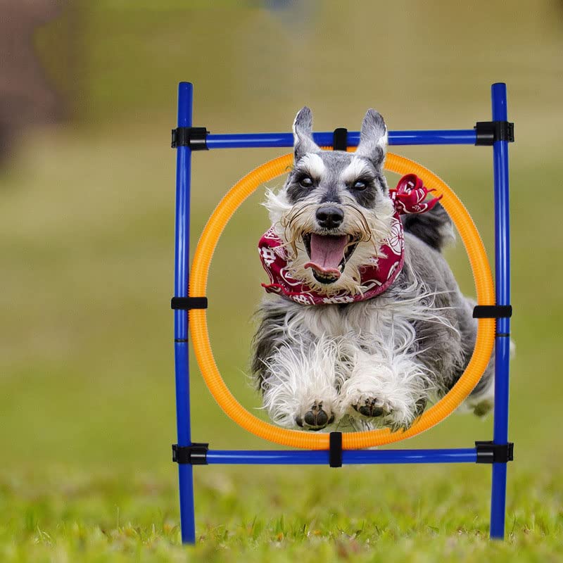 FAXIOAWA Attrezzatura per l'addestramento all'agilità del Cane per Percorso a Ostacoli per Cani all'aperto, Set per Saltare l'agilità del Cane, Anello per Saltare Regolabile