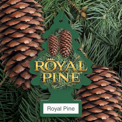 Image of Little Trees Royal Pine Air Freshener, (Pack of 24)