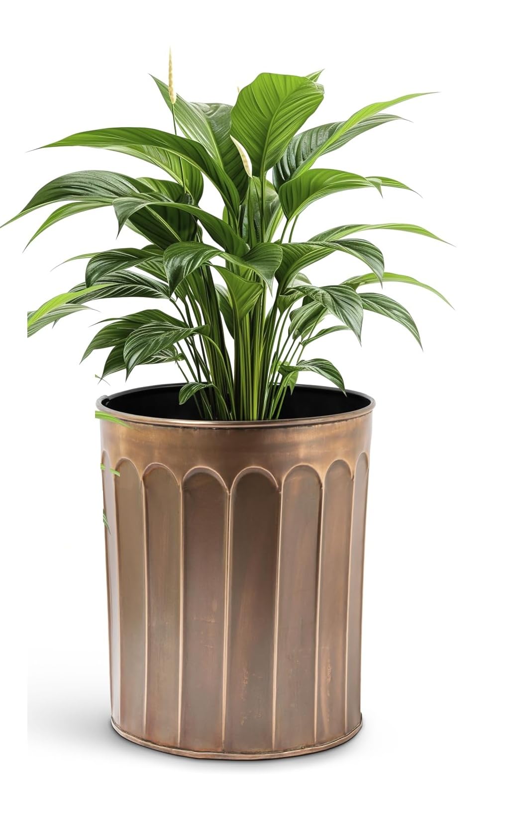 See full amazon price history chart for DE-AARTICO Flower Pot for Home Decor (Size: 6x6x7 Inches) | Lightweight Indoor Planter, Bin, Multipurpose Item for Bedroom, Living Room, Office, Balcony & Table | Set of 1 (Plants Not Included) DE-AARTICO Flower Pot for Home Decor (Size: 6x6x7 Inches) | Lightweight Indoor Planter, Bin, Multipurpose Item for Bedroom, Living Room, Office, Balcony & Table | Set of 1 (Plants Not Included) (B0D6KZH5N9) Amazon Price History, Amazon Price Tracker