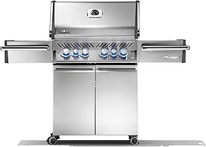 The 10 Best Gas Grills On The Market Today 13 61cG5dvcAWL. AC SY300 SX300 QL70 FMwebp