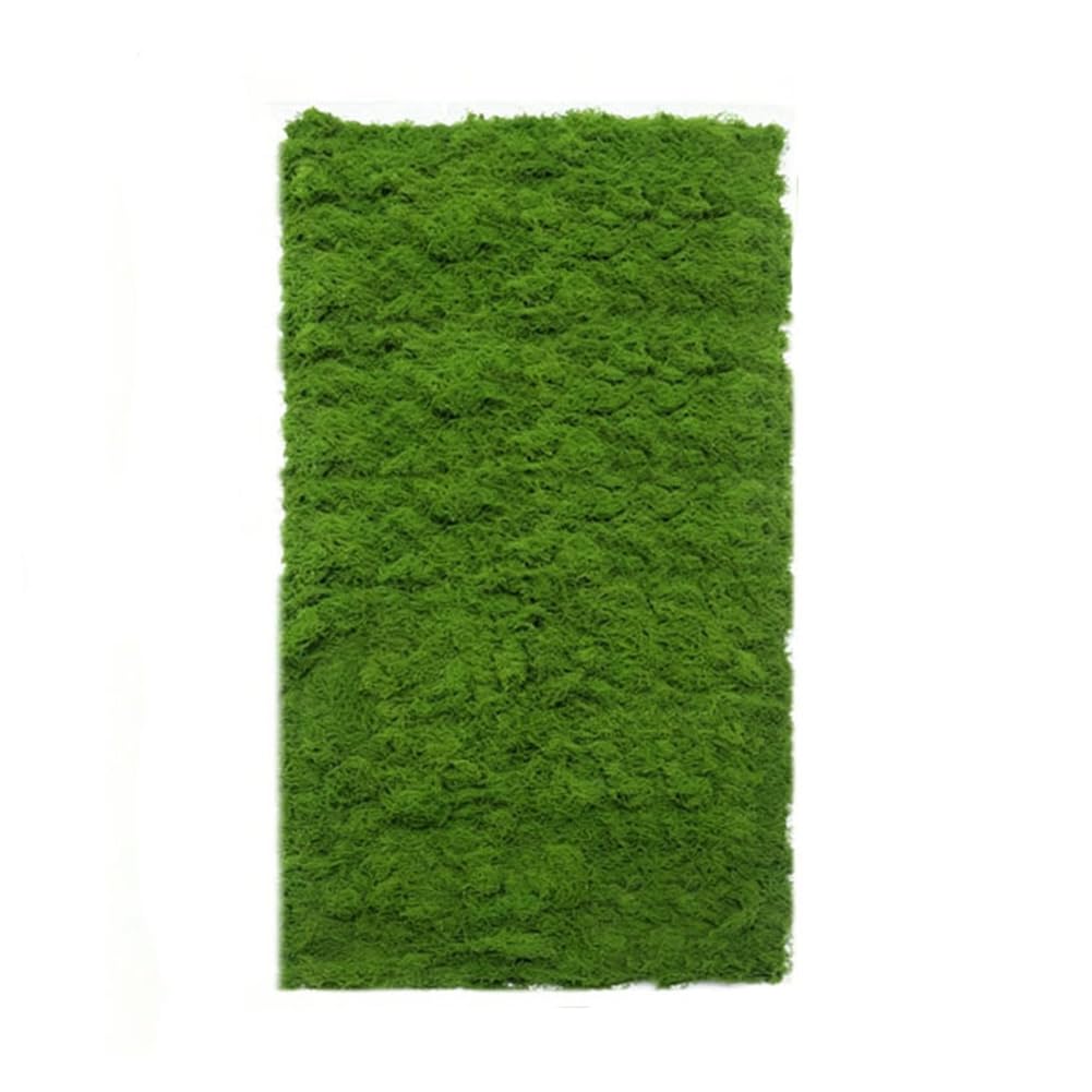Musgo artificial verde oscuro musgo artificial para decorar alfombra de césped, musgo artificial para manualidades, musgo artificial para pared, pesebre, modelismo, acuario, jardín, 100 x 200