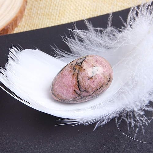 Miniatura 4 de Wixine 1 pieza natural de Bustamita de cristal de dragón de huevo de dragón Reiki colección curativa, Piedra