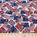 Printed Canvas Fabric Waterproof Outdoor 60' Wide 600 Denier Sold by The Yard (Flags Red)