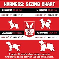 Vista 5 de Boss Dog Arnés táctico azul (grande)