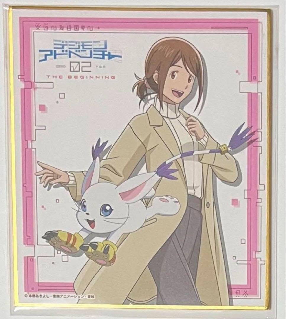 デジモンアドベンチャー02海外ヒカリカラー